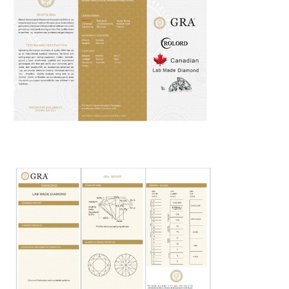 Rolord pair of 18kt yellow gold earrings with 2 round cut 1ct moissanite - Picture 14 of 15